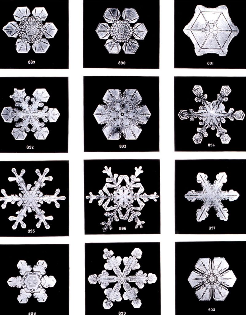 Flocos de Neve (Imagens por Wilson Bentley).